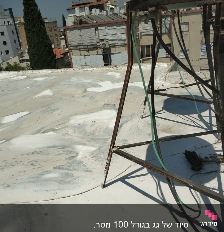 מיד לאחר הסיוד.